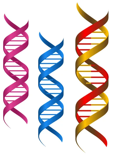 Элементы ДНК — стоковый вектор