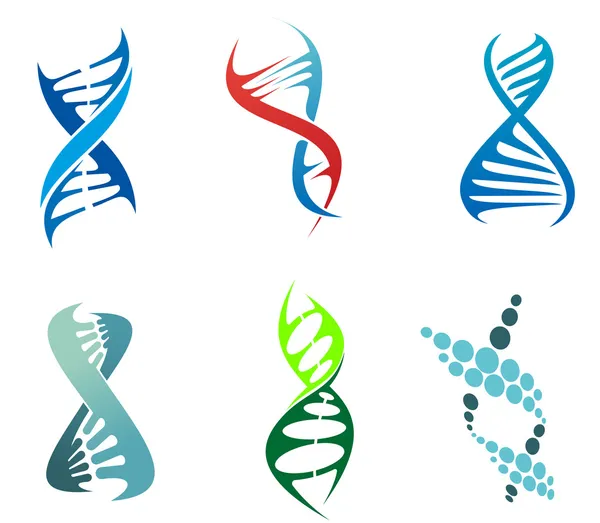 ДНК и молекул — стоковый вектор