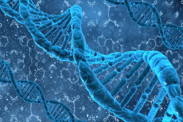 3D структура ДНК — стоковое фото