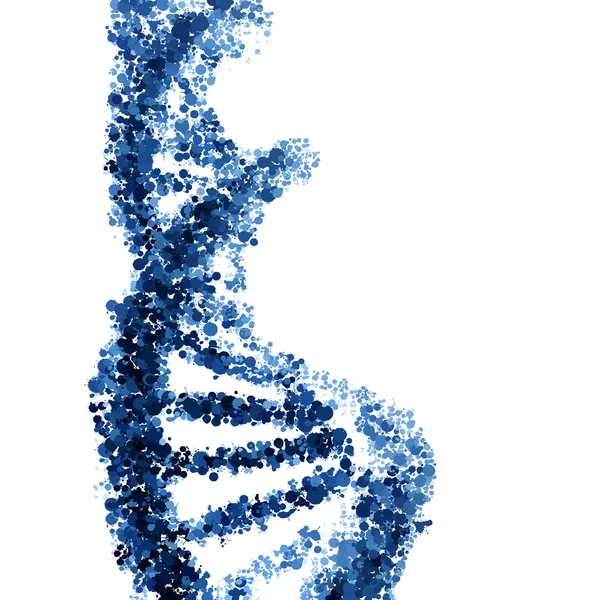Вектор спирали ДНК изолирован на белом фоне — стоковый вектор