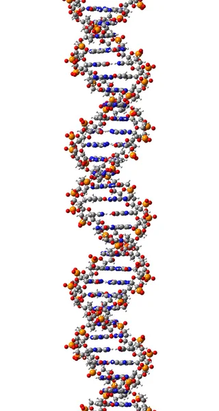 Молекулы ДНК. 3D Иллюстрация — стоковое фото