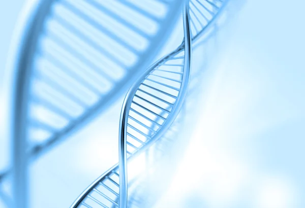 ДНК в медицинское образование — стоковое фото