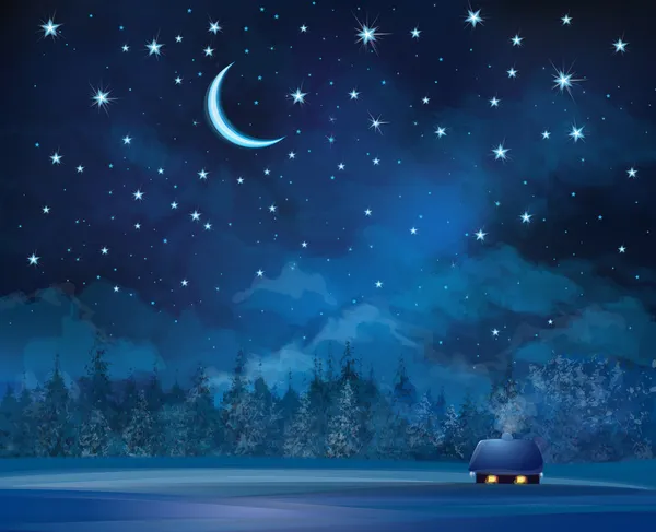 Вектор ночная сцена с домом на фоне звездное небо и передний план — стоковый вектор