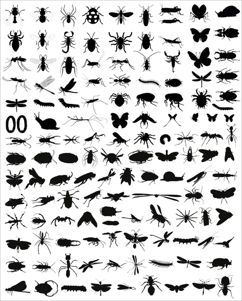 Большая коллекция 133 различных векторных силуэтов насекомых — стоковый вектор