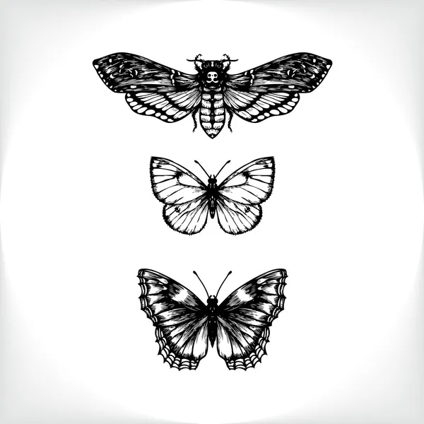 Рисунок тушью бабочек — стоковый вектор