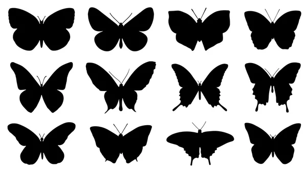 Бабочка силуэты — стоковый вектор