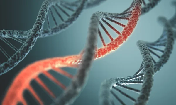 Длинные структура ДНК — стоковое фото