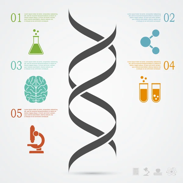 Инфографика ДНК — стоковый вектор