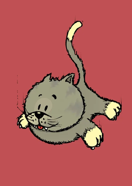 Кошка в свободном падении — стоковый вектор