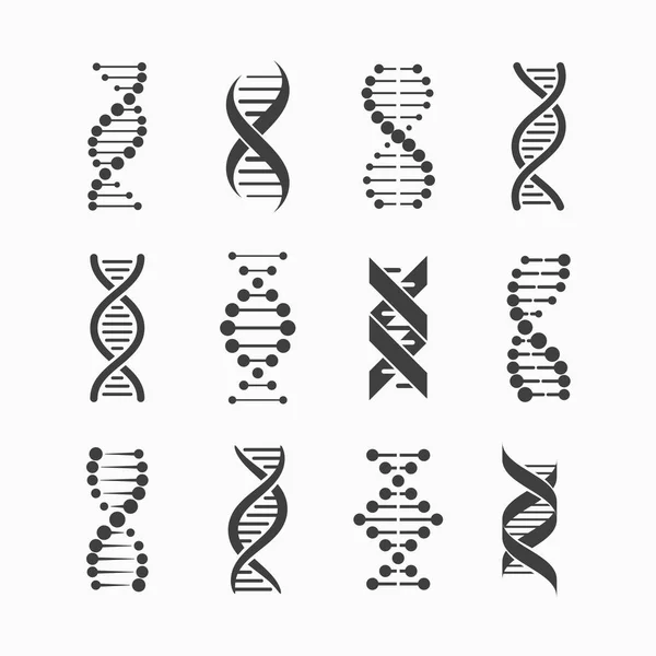 Набор из серого, что ДНК пряди — стоковый вектор