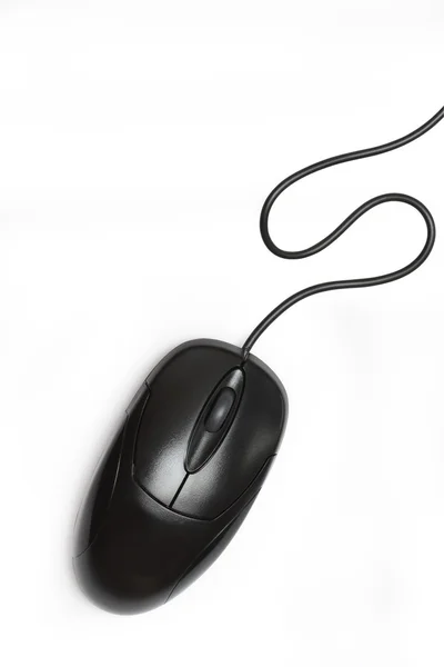 Компьютерная мышь — стоковое фото