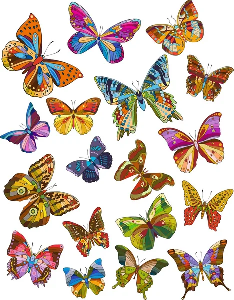 Набор бабочки — стоковый вектор
