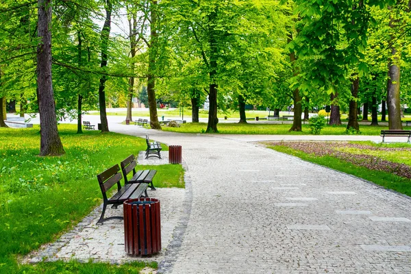 Зеленый городской парк — стоковое фото