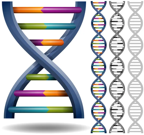 Нити ДНК — стоковый вектор