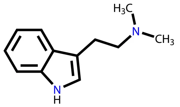 Структурная формула диметилтриптамин — стоковый вектор