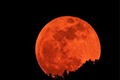Жители Земли увидят "кровавую" Луну